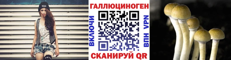 Псилоцибиновые грибы GOLDEN TEACHER  Беслан 